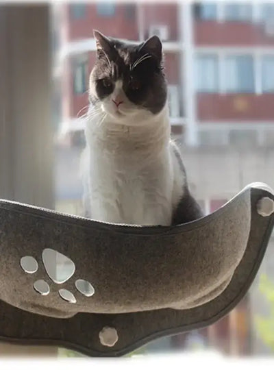 Cat Window Hammock Bed - TinnLizzie